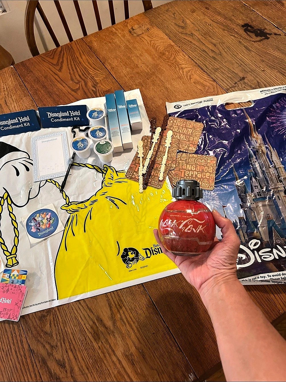 Disney Parks Disneyland Hotel Souvenir Assortment NWT